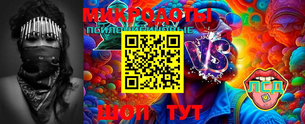 Псилоцибиновые грибы Psilocybe Набережные Челны