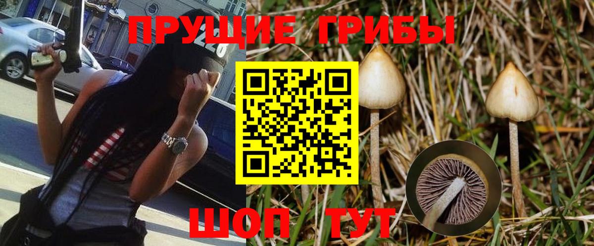 Галлюциногенные грибы мухоморы  Вход с VPN  Набережные Челны 